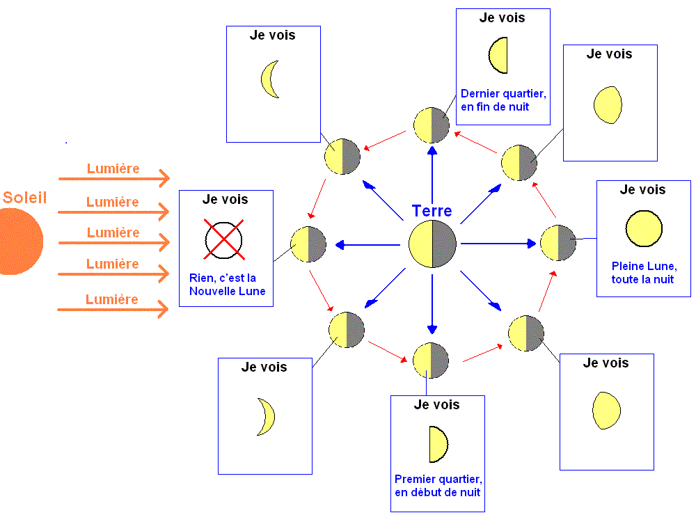 Schéma explicatif des phases de la Lune